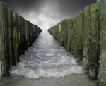 medium_paysage1.jpg