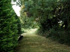 PICT0107.JPG