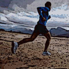 course.gif