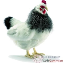 Anima-Peluche-poule-5034.jpg