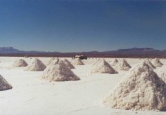 salar-sel.jpg